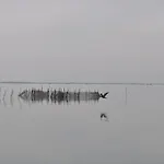 Bauernhof La Barena *