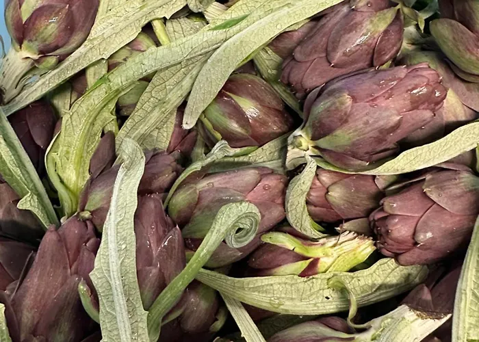 مزرعة للإقامة La Barena *