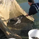 La Barena مزرعة للإقامة جيسولو