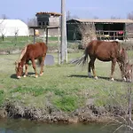 La Barena جيسولو