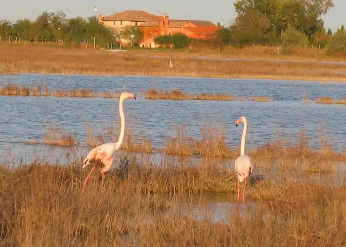 Séjour à la ferme La Barena *