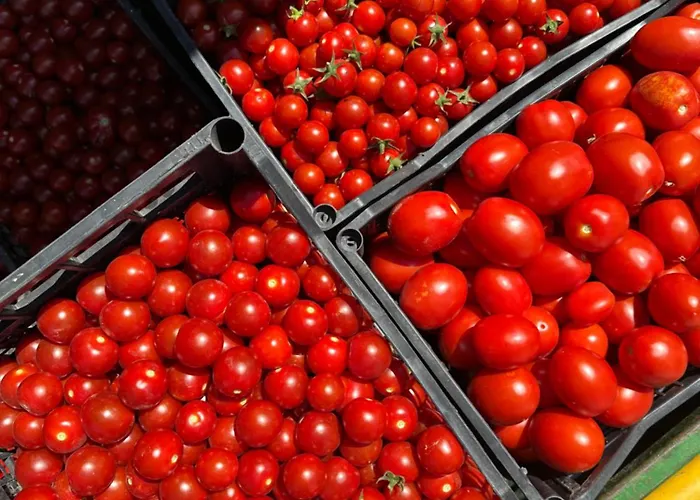 Séjour à la ferme La Barena