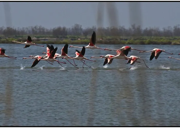La Barena Séjour à la ferme